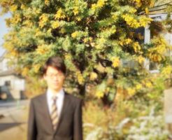 山下エミリ ミモザの木